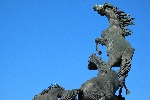 Los caballos