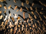 Museos, Fundaciones y Centros culturales