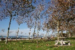 Playas de Vigo