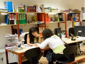 Orientación de empleo
